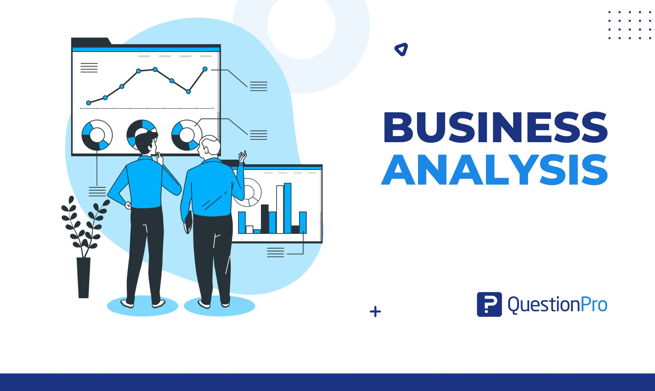 Business Analysis